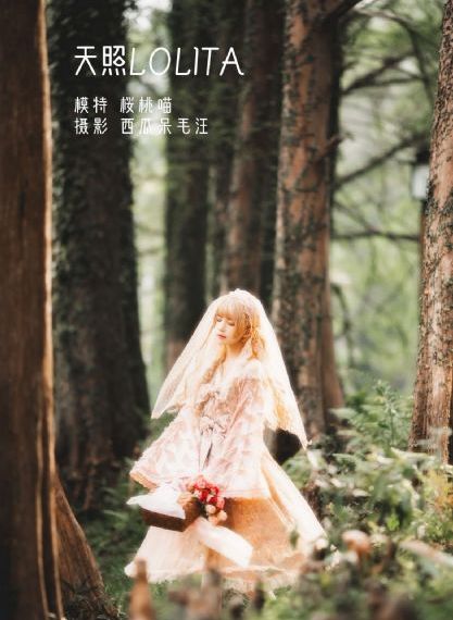 一天在线观看完整版免费观看_BD全集在线观看